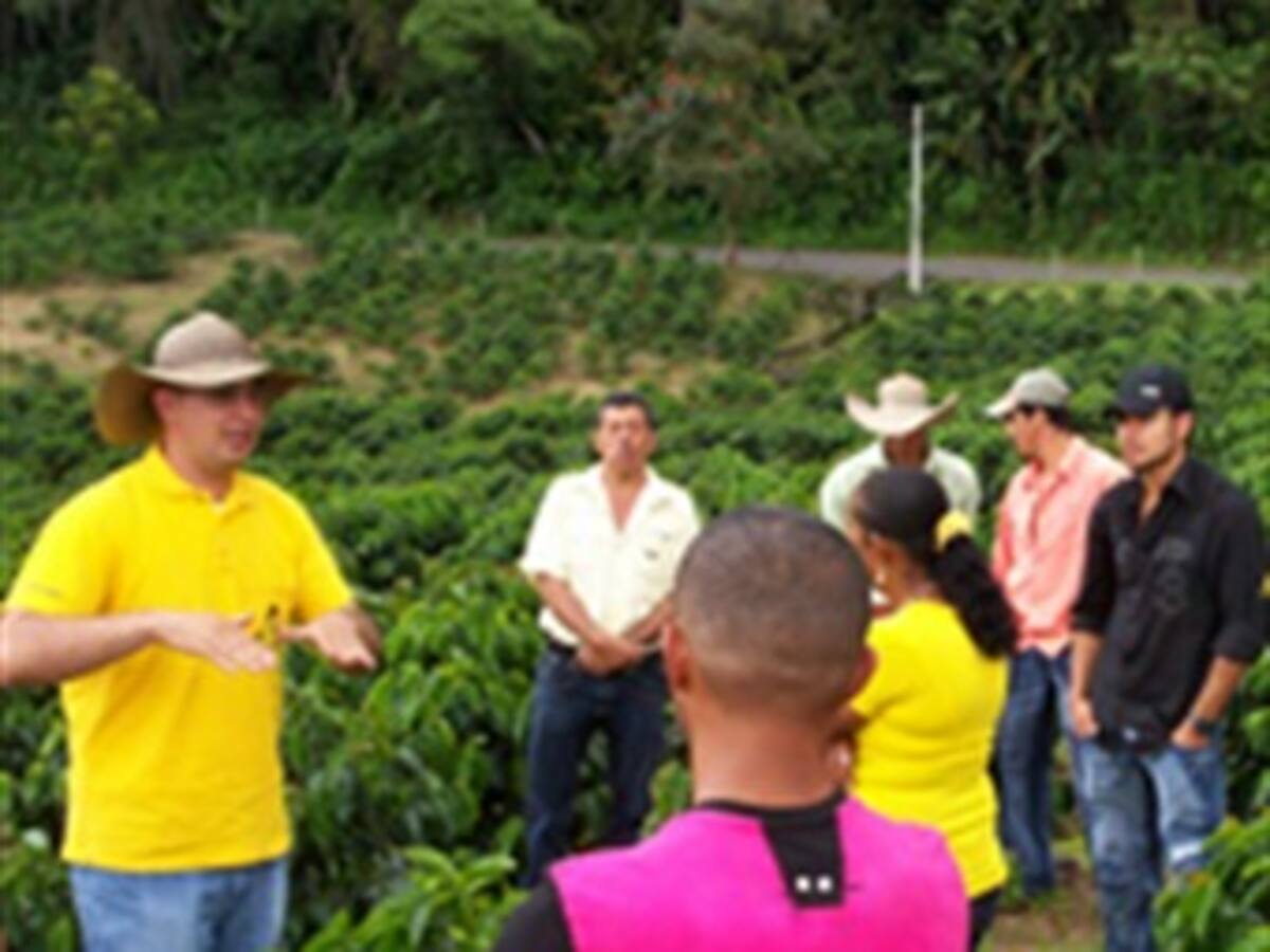 Gobierno implementó purga a empresas compradoras de café