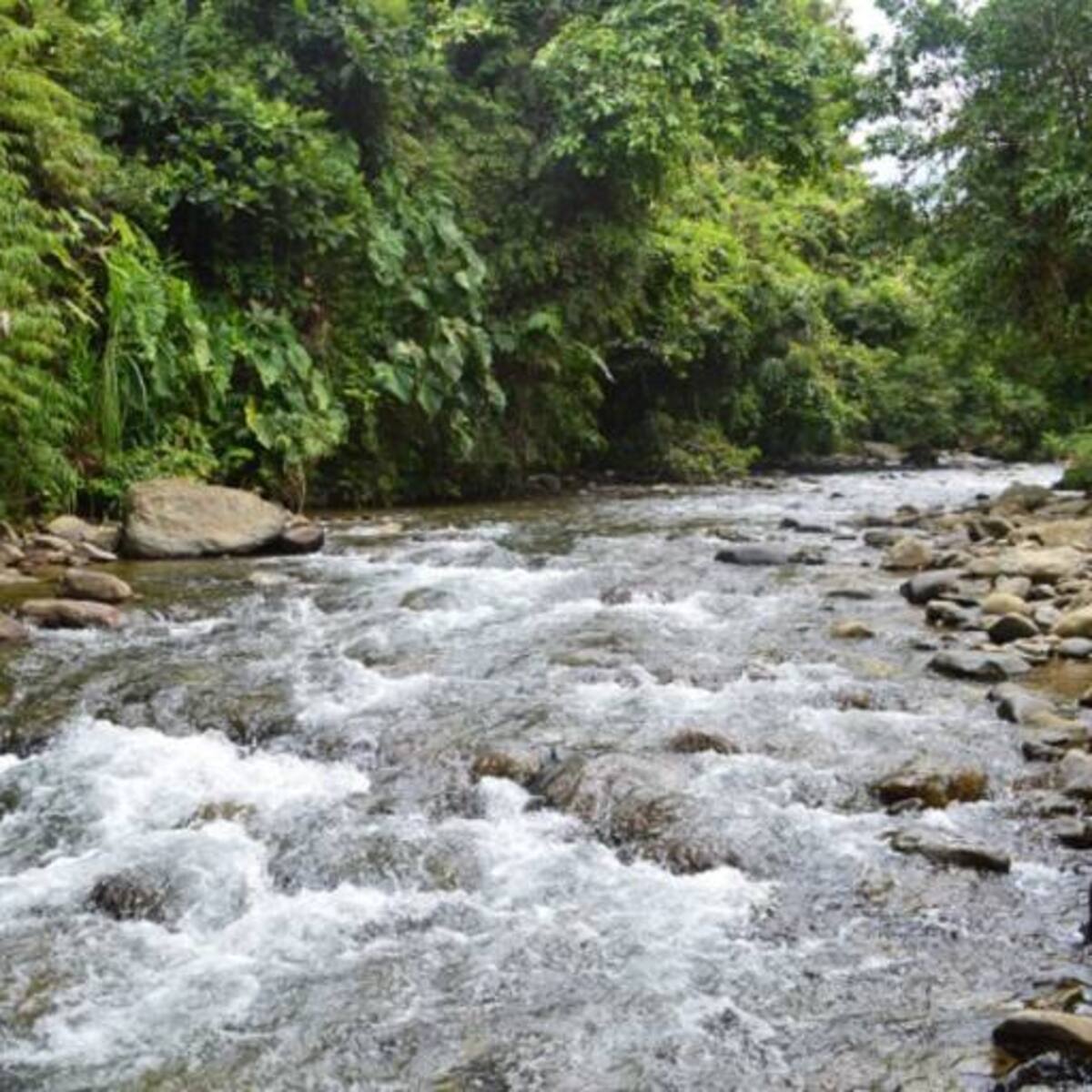 Hasta en un 10% han aumentado los caudales de los ríos en Risaralda gracias a las lluvias de la última semana