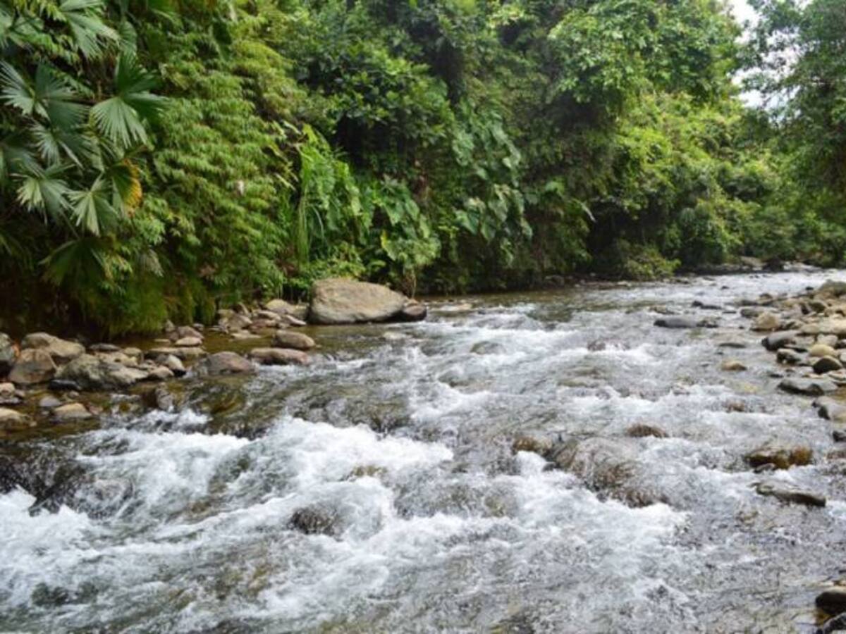 Hasta en un 10% han aumentado los caudales de los ríos en Risaralda gracias a las lluvias de la última semana