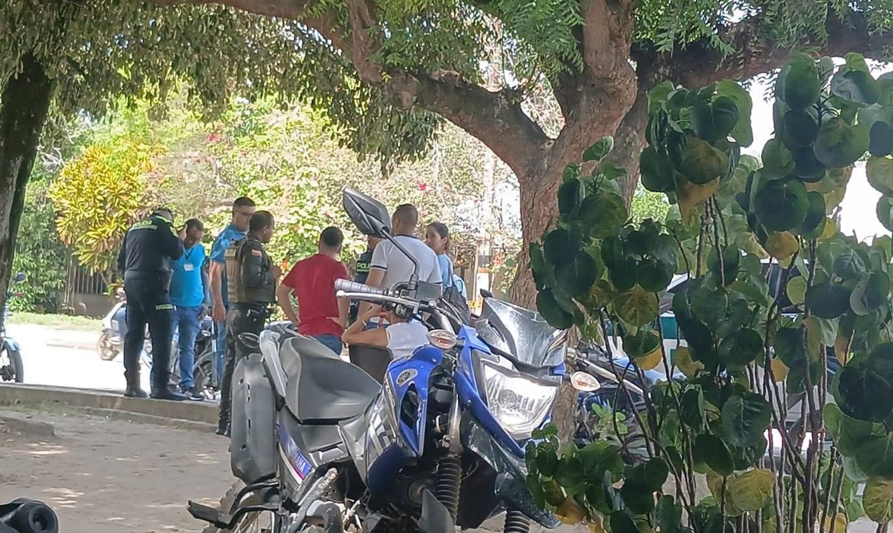 Homicidio en el municipio de San Luis, Tolima