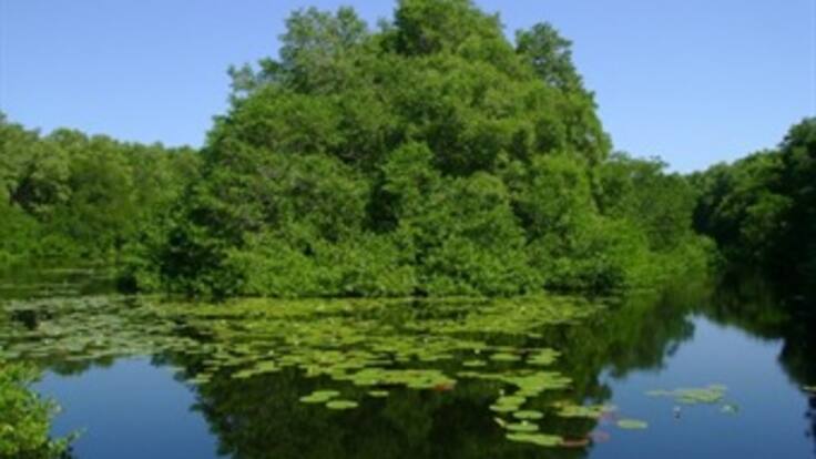 Funcionarios estatales estarían involucrados en robo de tierras en parques nacionales
