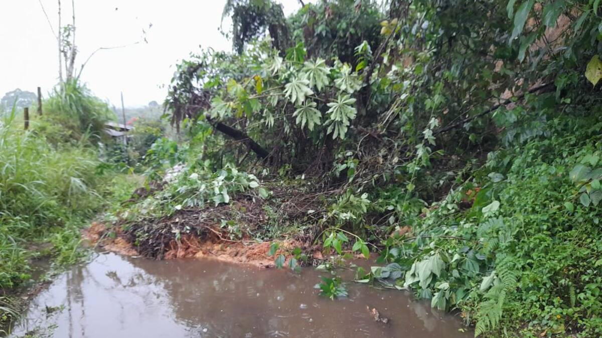 Derrumbes taponan vías en Salento, Quindío