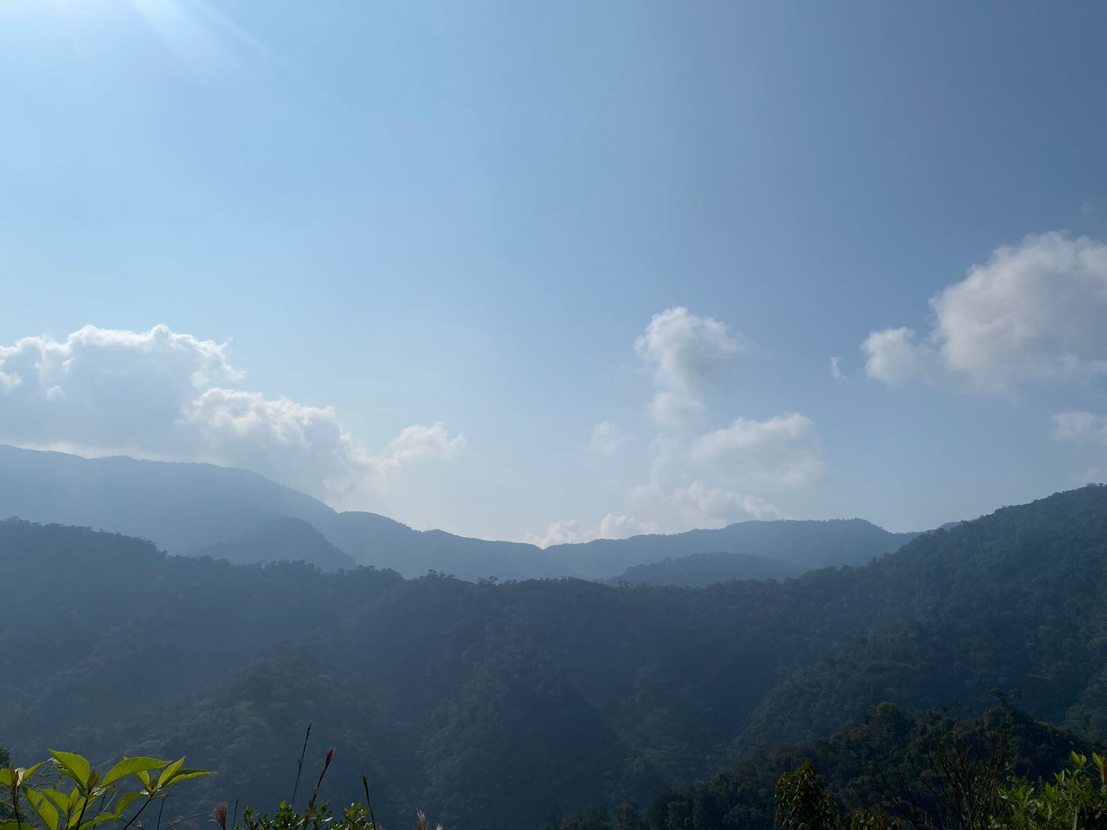 Parque Nacional Natural Selva de Florencia, al oriente de Caldas. Foto suministrada.