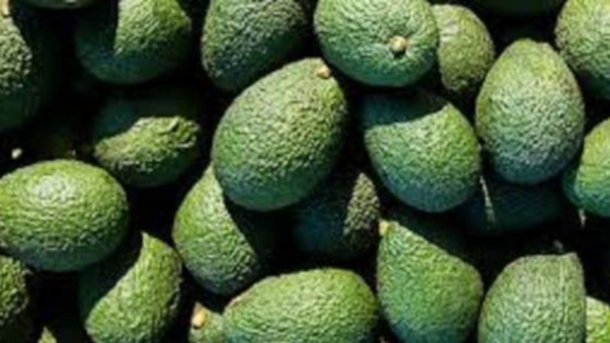 Alirio García, presidente de la Asociación de Usuarios Campesinos, Anuc