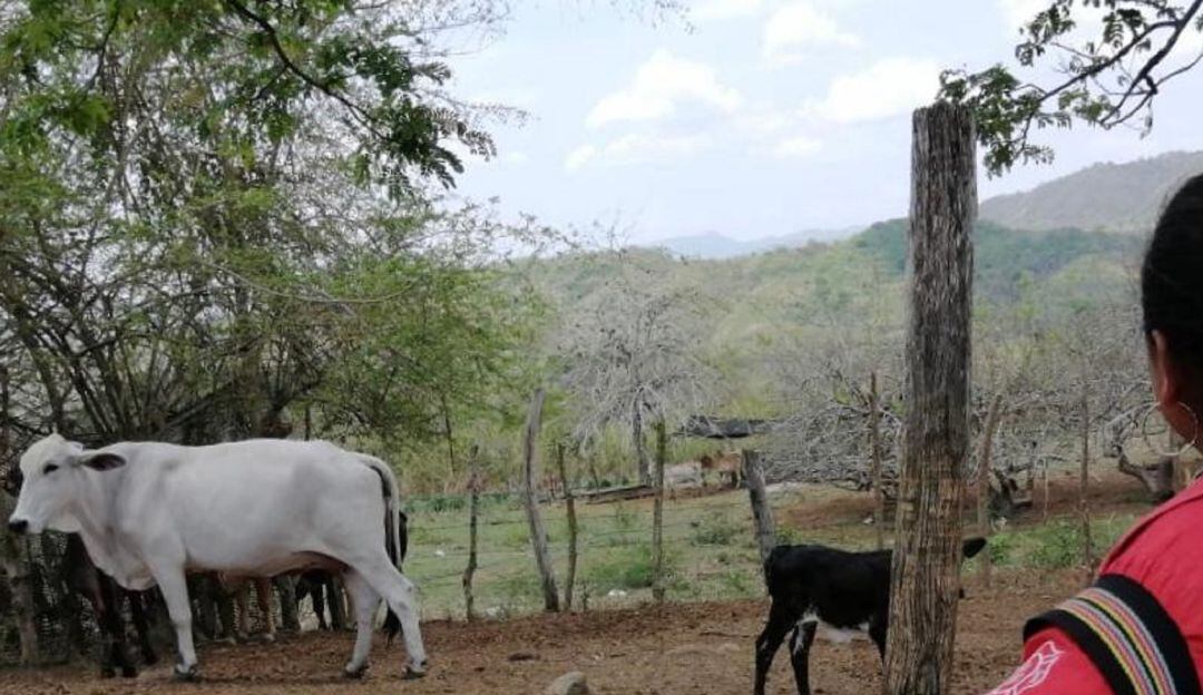 El proyecto se desarrolla en el municipio de San Jacinto, en los Montes de María