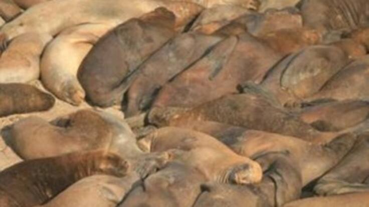 Falcao García marca dos goles con el Atlético de Madrid ante el Villarreal