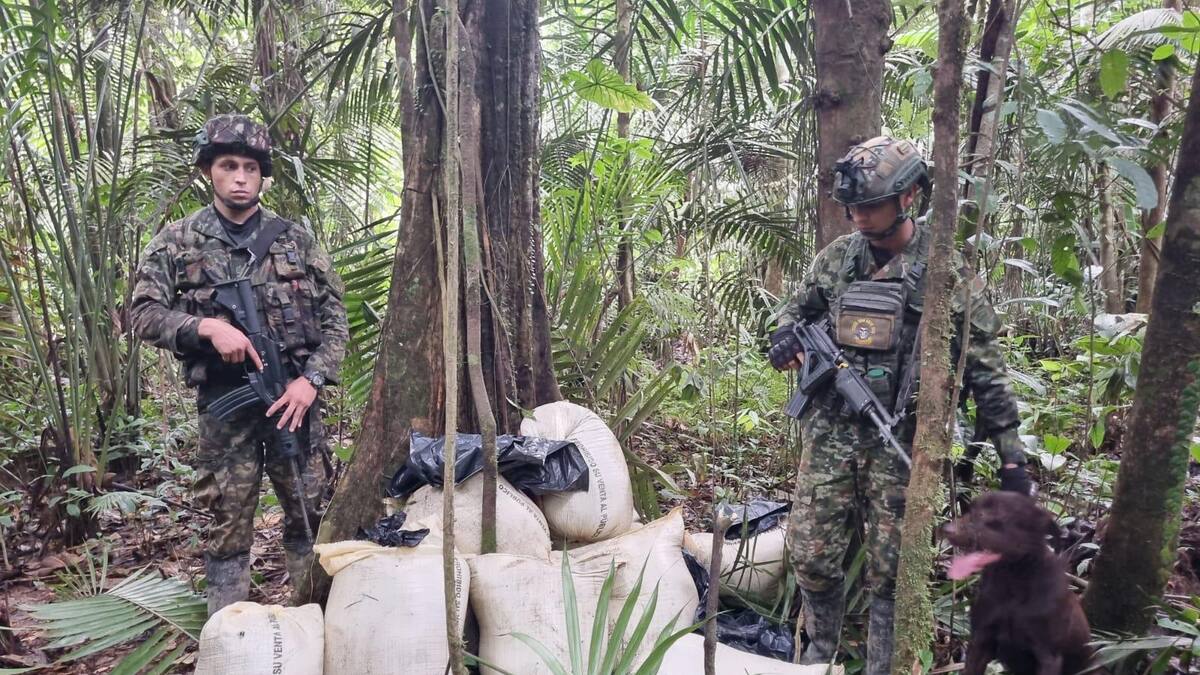 Ejército frustra fabricación de 2.500 minas antipersonal en Putumayo