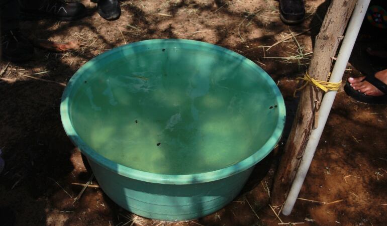 Desde el mes de octubre, cuando el Zika llegó al país, se han confirmado 615 casos.