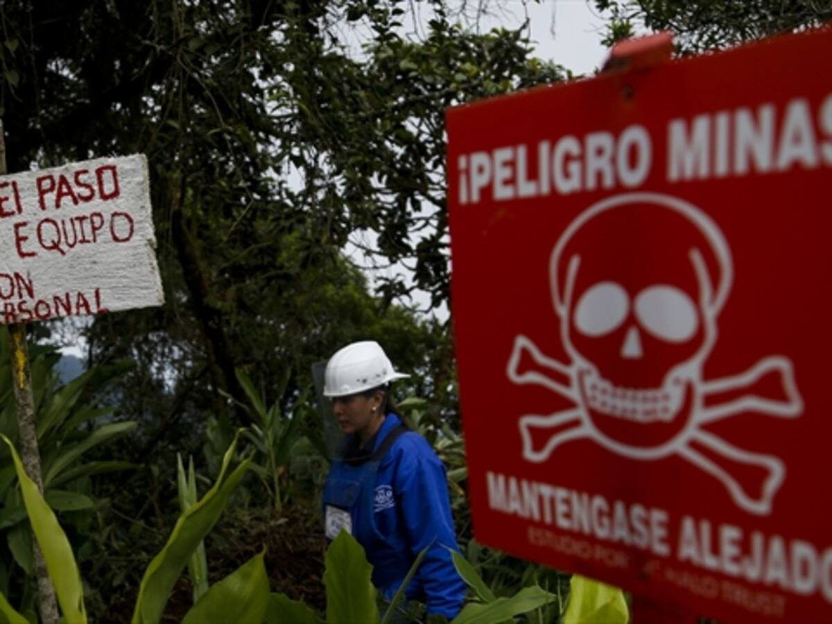 Guerrilleros desmovilizados de las Farc apoyan el desminado en Antioquia
