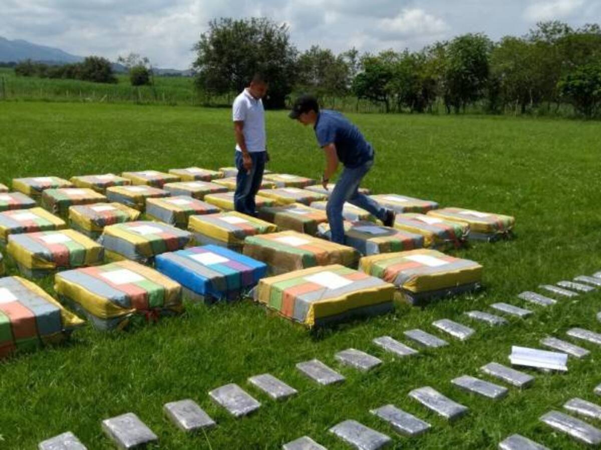 Incautadas más de 2 toneladas de marihuana en el norte del Cauca