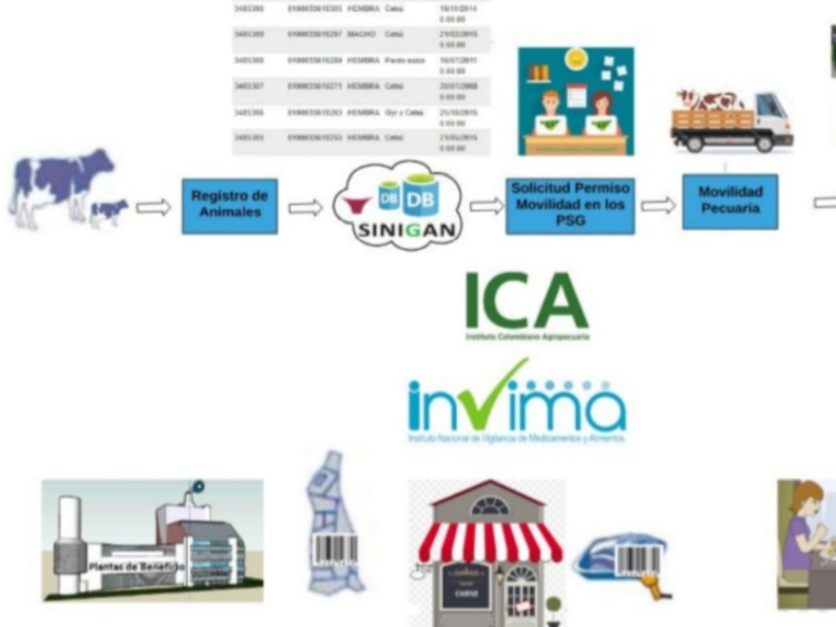Un dispositivo para prevenir robo de ganado, diseñan en la Unal
