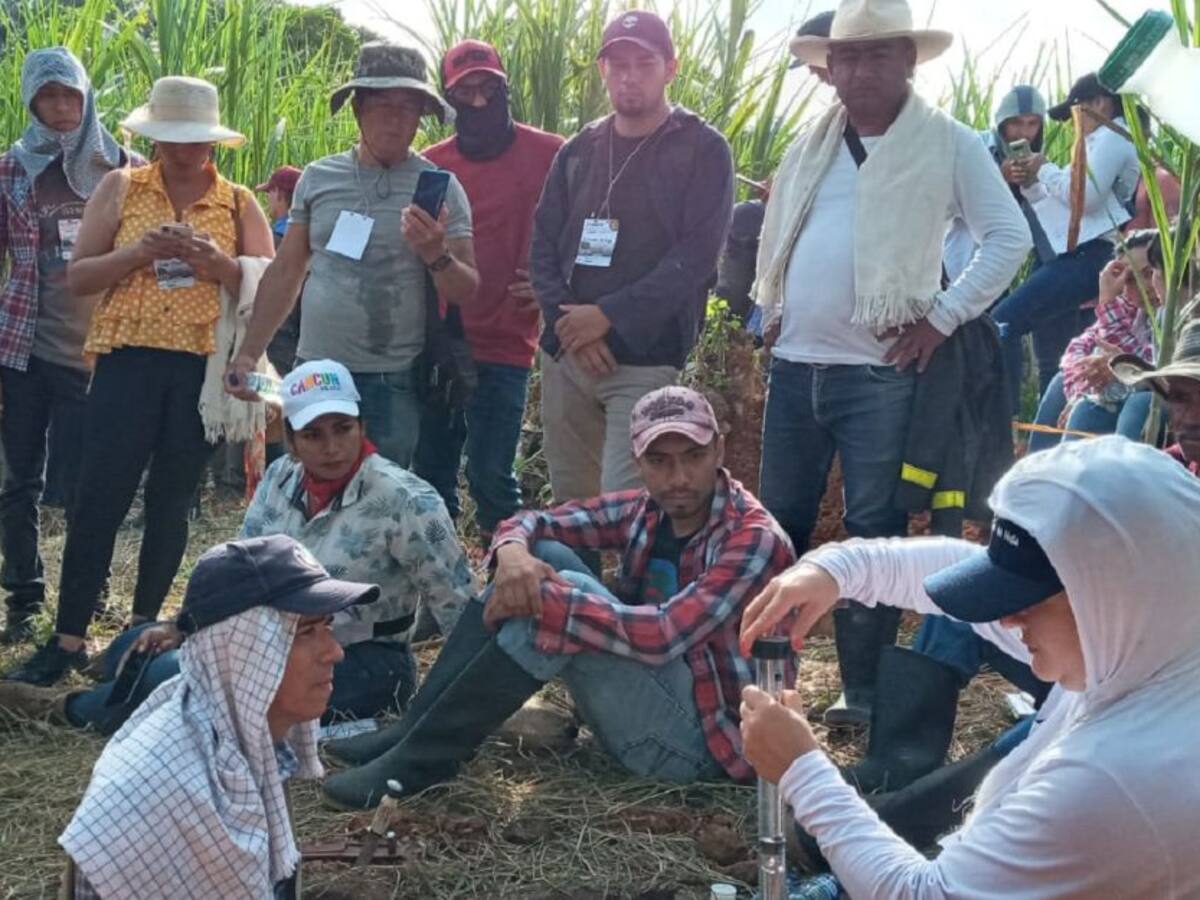 Paneleros del Huila por el camino dulce