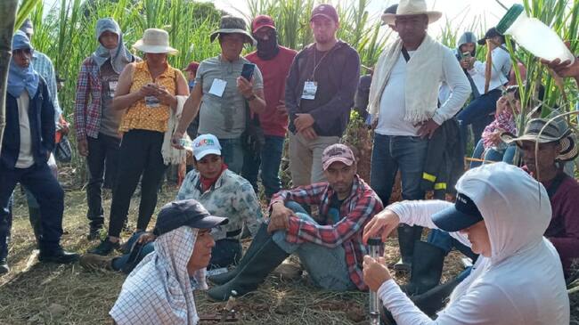 Gracias a la firma de convenio entre Gobernación del Huila y Uniamazonia, este gremio podrá capacitarse reconversión panelera.