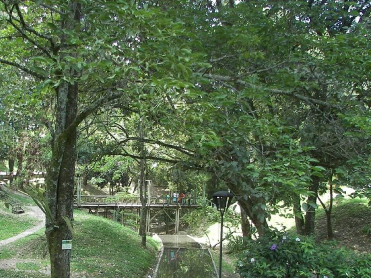 Un hombre en bicicleta es el terror de mujeres en zona céntrica de Ibagué