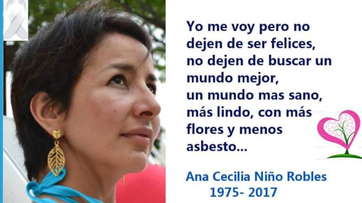 Prohibir el asbesto ayudaría a reducir gastos en salud: Asociación Colombiana de Salud Pública