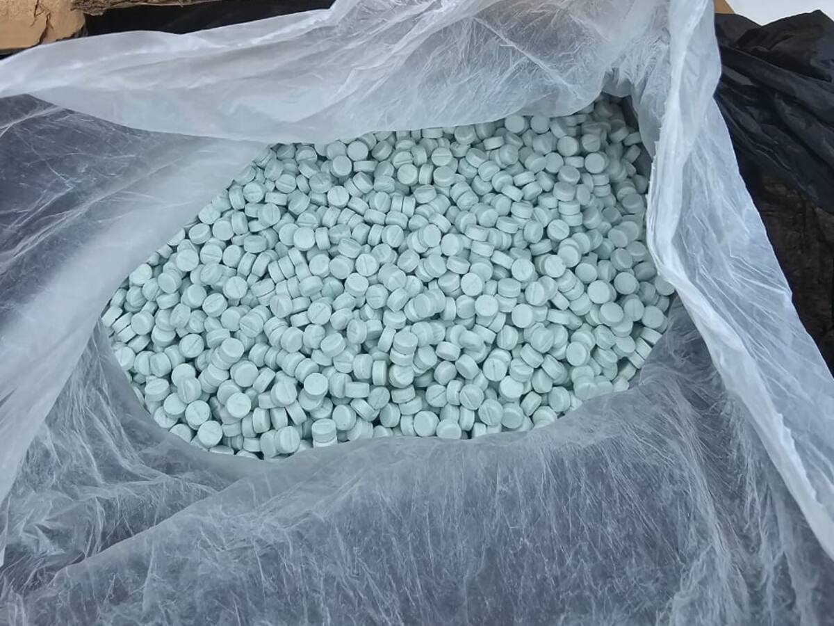 En la vía La Línea incautan 25.000 pastillas de droga sintética