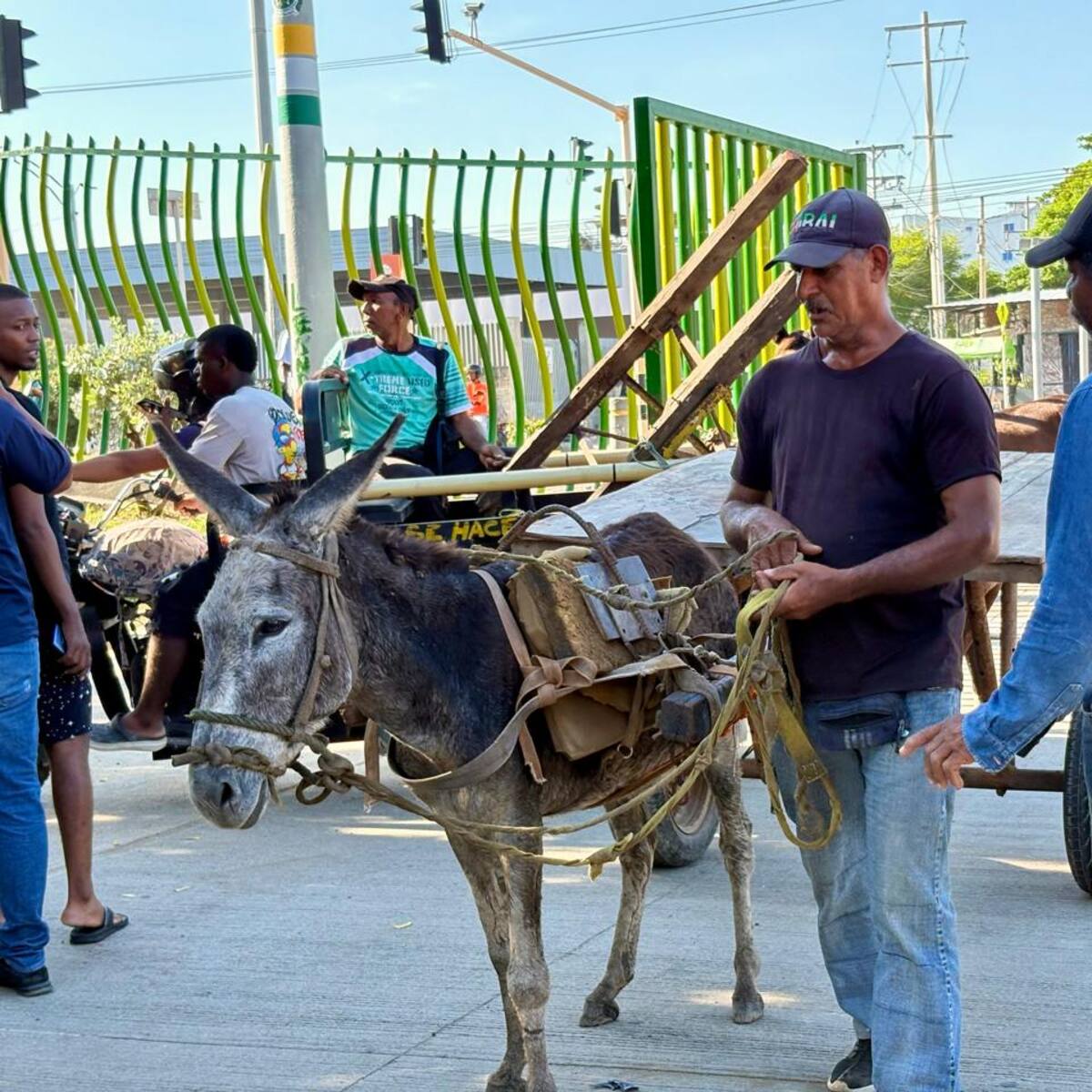 62 Carromuleros entregaron sus animales para recibir nuevos vehículos en Cartagena