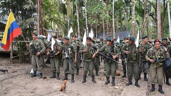 Decreto sobre bienes de las Farc nunca fue modificado. Foto: Colprensa