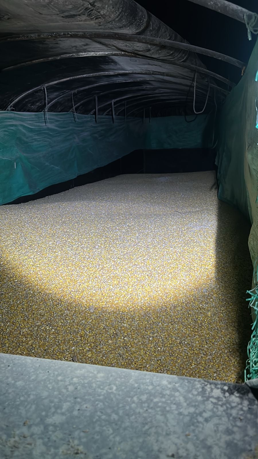 Roban tres toneladas de maíz en Buenaventura y la Policía logra recuperar la carga