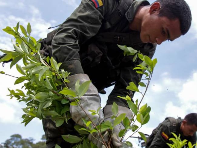 Detectan nuevas rutas de narcotráfico por zona de frontera con Venezuela