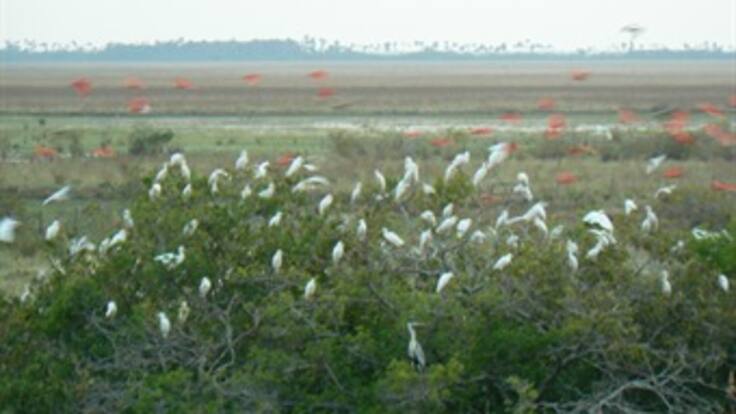 Carimagua no será para potentados, sino para pequeños agricultores: Minagricultura