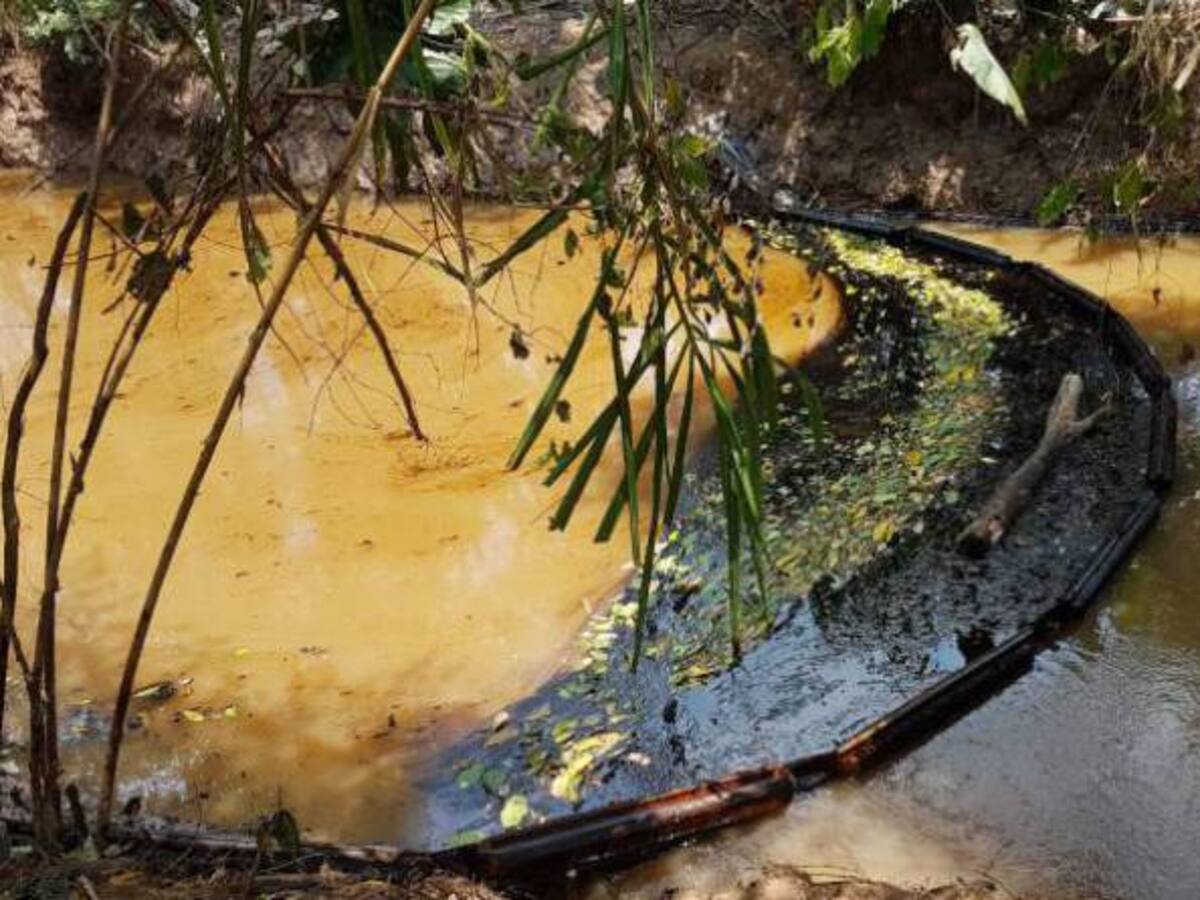 ONU determinó qué impacto ambiental en La Lizama fue menor