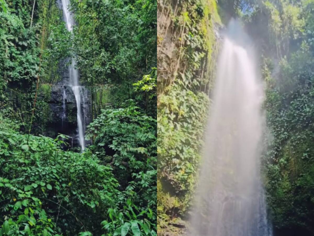 Cascada de los Micos mide 40 metros de alto y queda en el Valle del Cauca: Ruta para visitarla