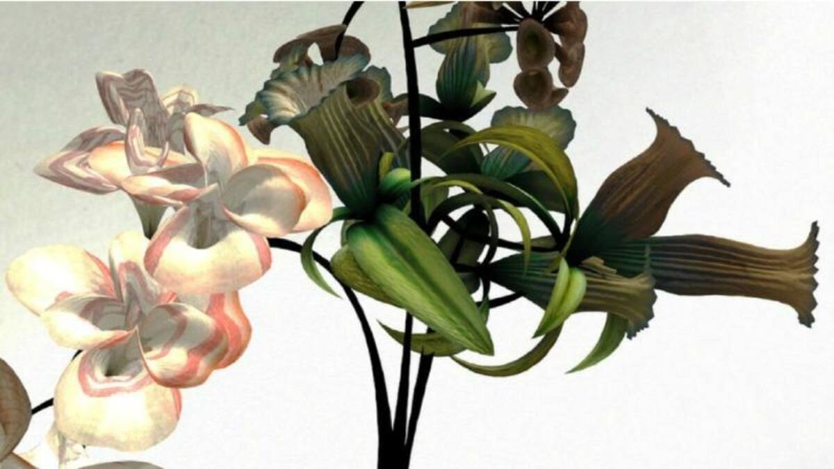 Brown utiliza programas que generalmente se usan para videojuegos con el fin de simular los efectos del paso del tiempo, lo que permite ver cómo van creciendo las flores.