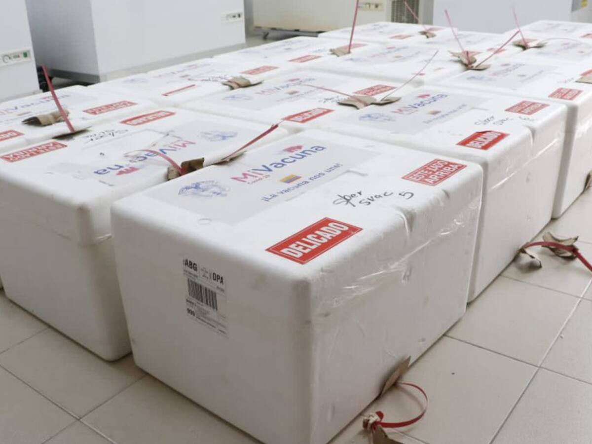 Llegaron más de 16 mil vacunas de Sinovac