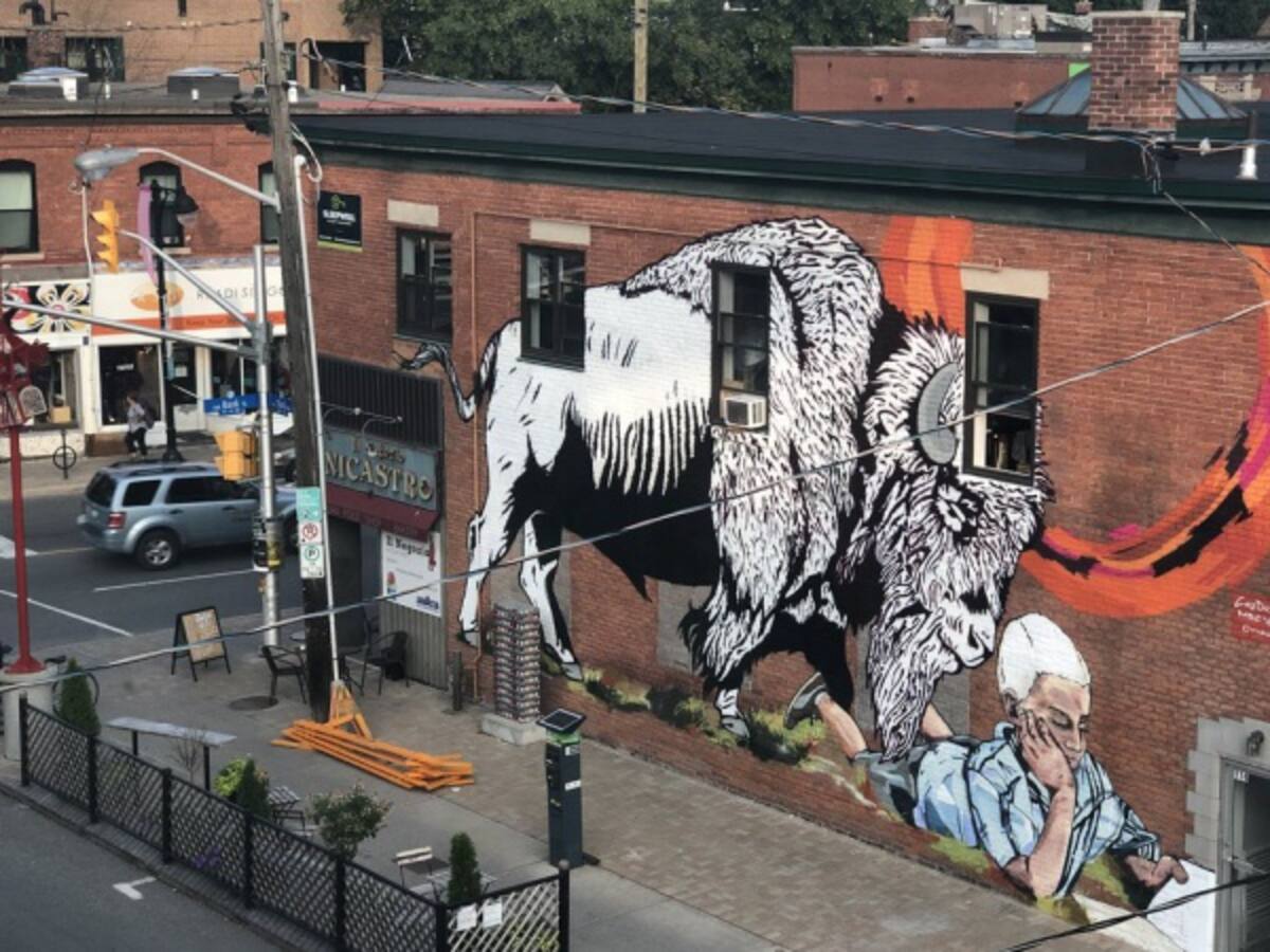El arte colombiano pasa fronteras con ‘Vértigo Graffiti’