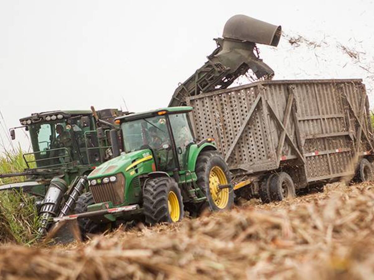 Trabajadores de la Caña de Azúcar definen en las próximas horas la "hora Cero" de la marcha a Cali