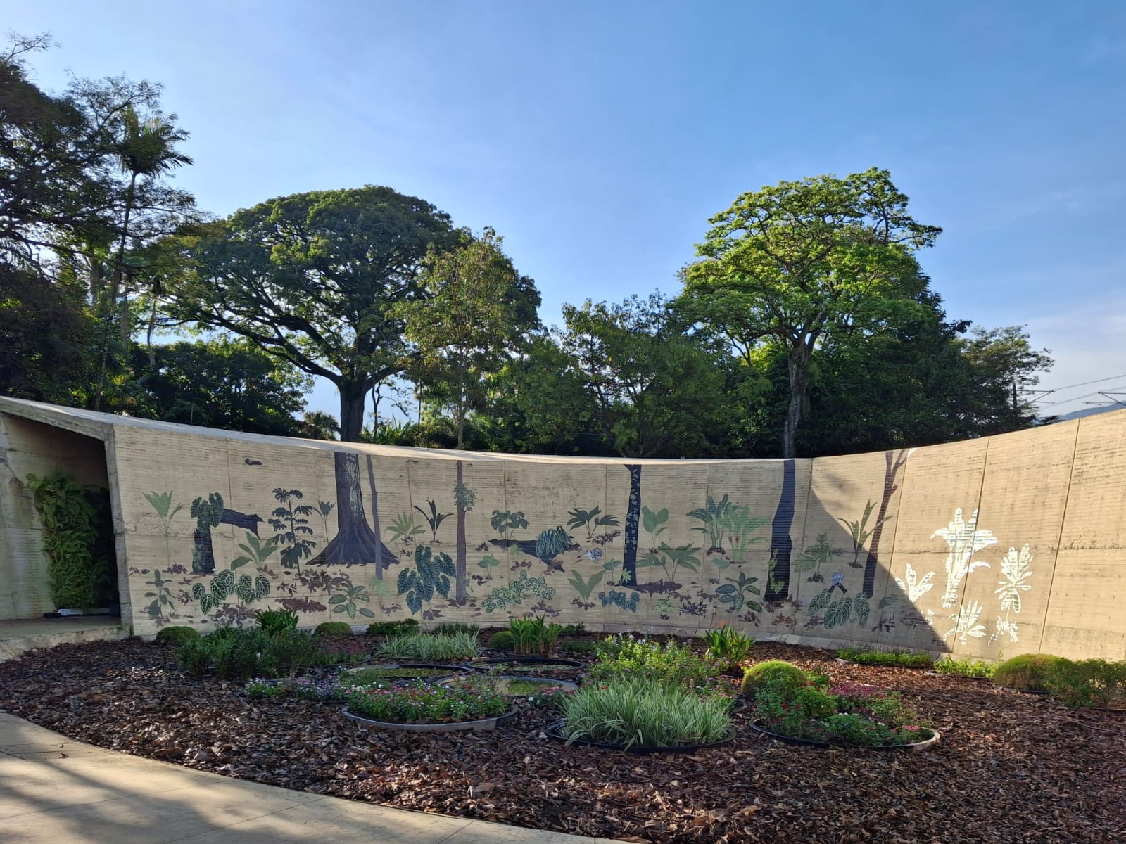 Foto: Jardín Botánico Medellín.