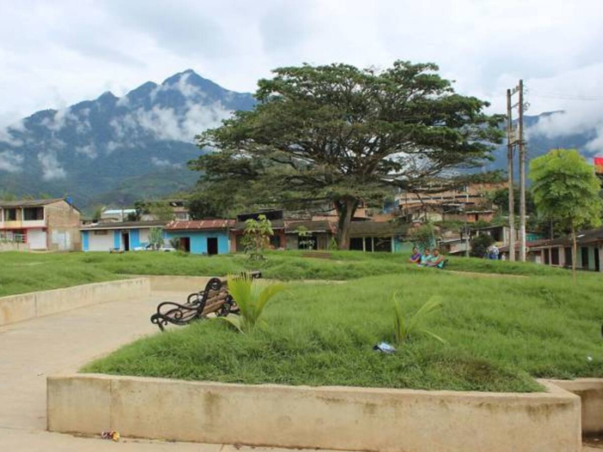 ELN, disidencias y narcotráfico radiografía de Argelia Cauca