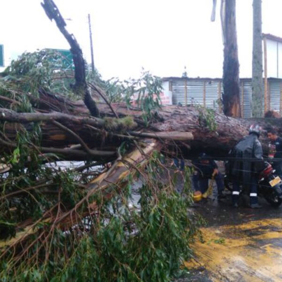 61 damnificados dejaron las lluvias de las últimas horas en Armenia