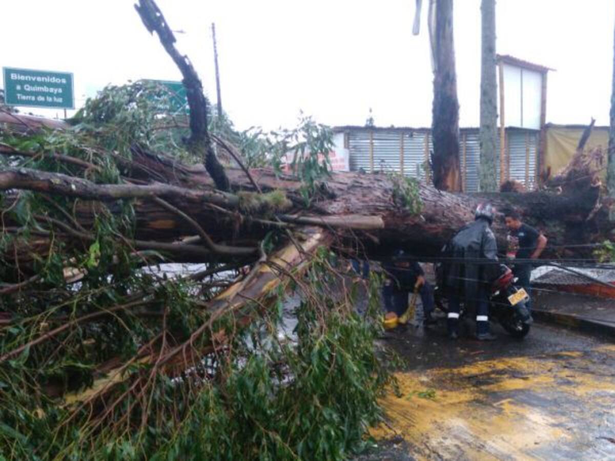 61 damnificados dejaron las lluvias de las últimas horas en Armenia