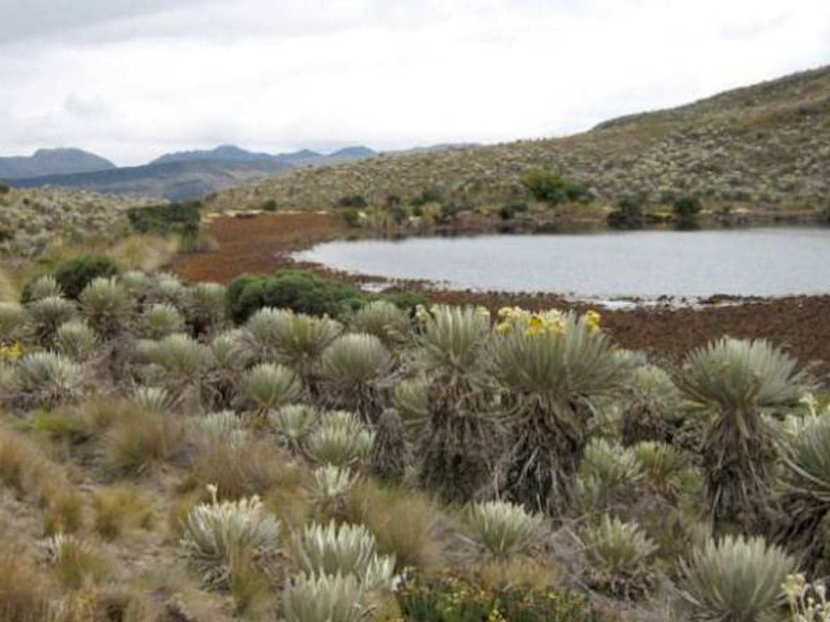 Ampliación de la frontera agrícola estaría alterando el suelo del páramo Guantiva-La Rusia