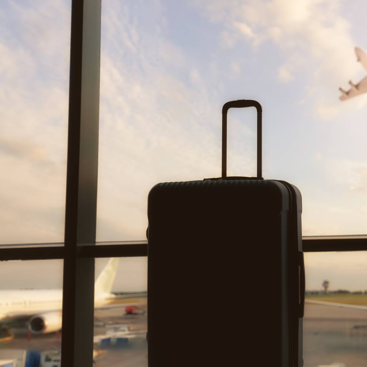 Botón secreto en Google Flights: cómo activarlo y conseguir vuelos baratos