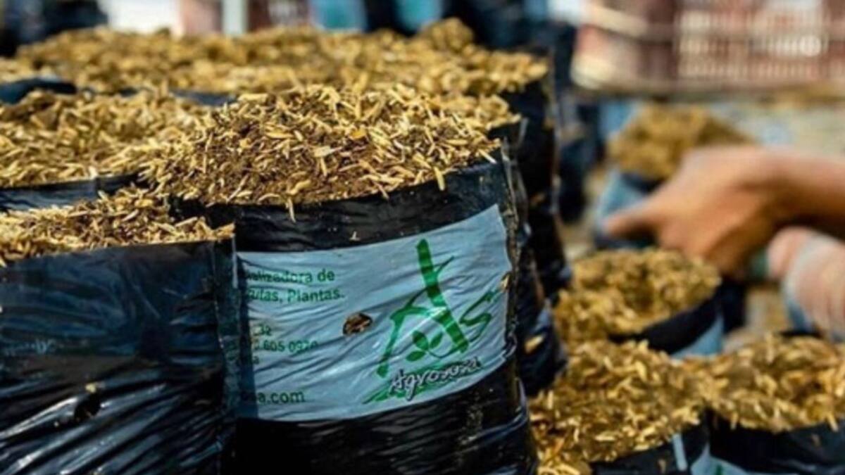 41 negocios verdes de Magdalena son ejemplo de buenas prácticas ambientales