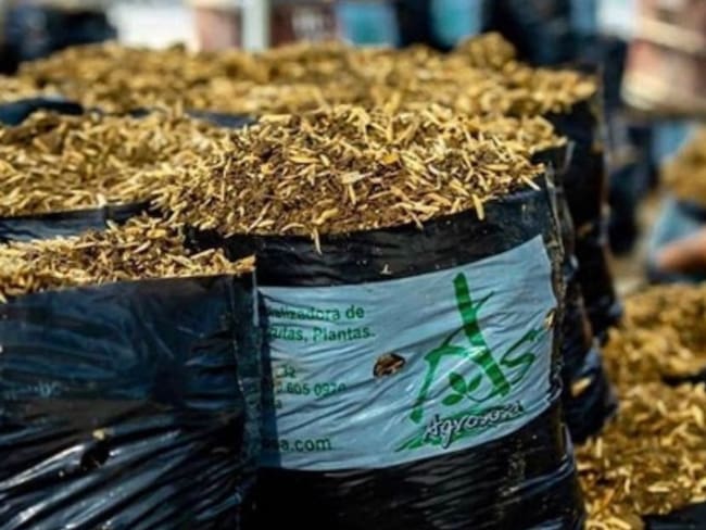 41 negocios verdes de Magdalena son ejemplo de buenas prácticas ambientales