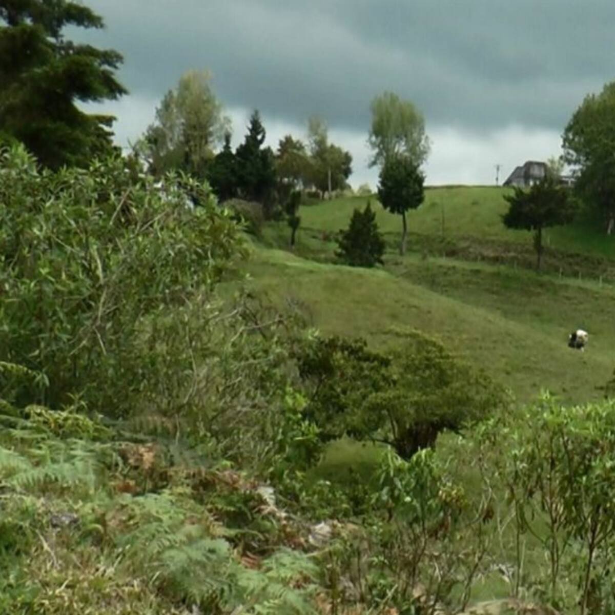 Financiaremos proyecto de Ecoparque en Posada Alemana: DNP