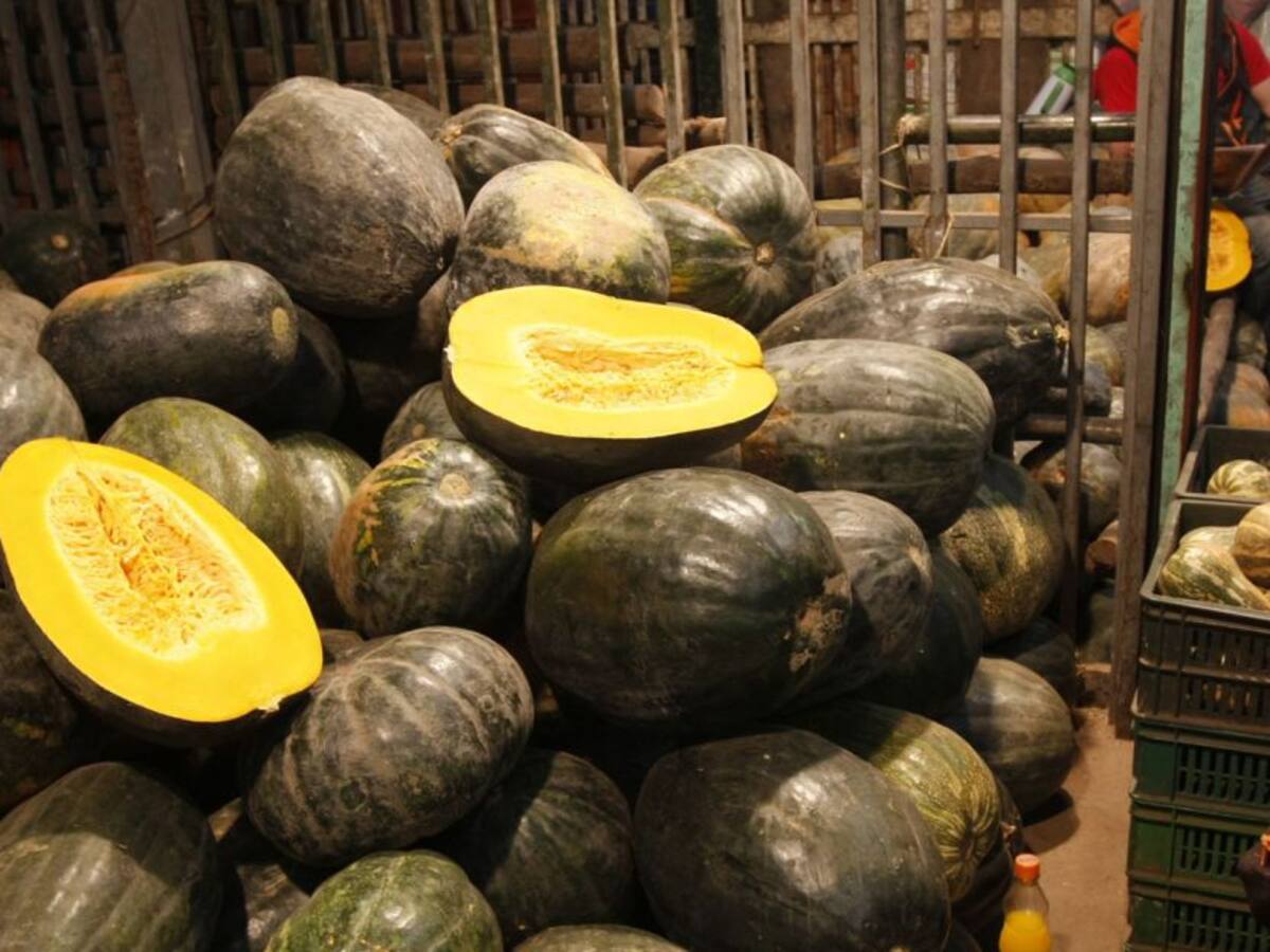 Agua, piden productores de ahuyama en La Guajira