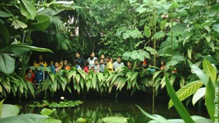 Claudia Mora, viceministra de Ambiente, habló sobre la Feria Internacional del Medio Ambiente