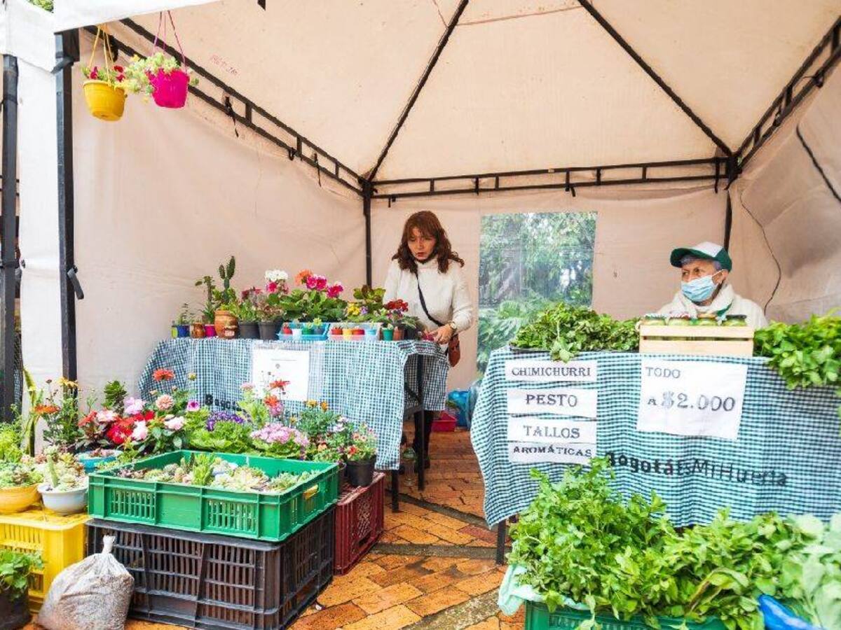 Inicio el gran Mercado Campesino "Bogotá es mi huerta"