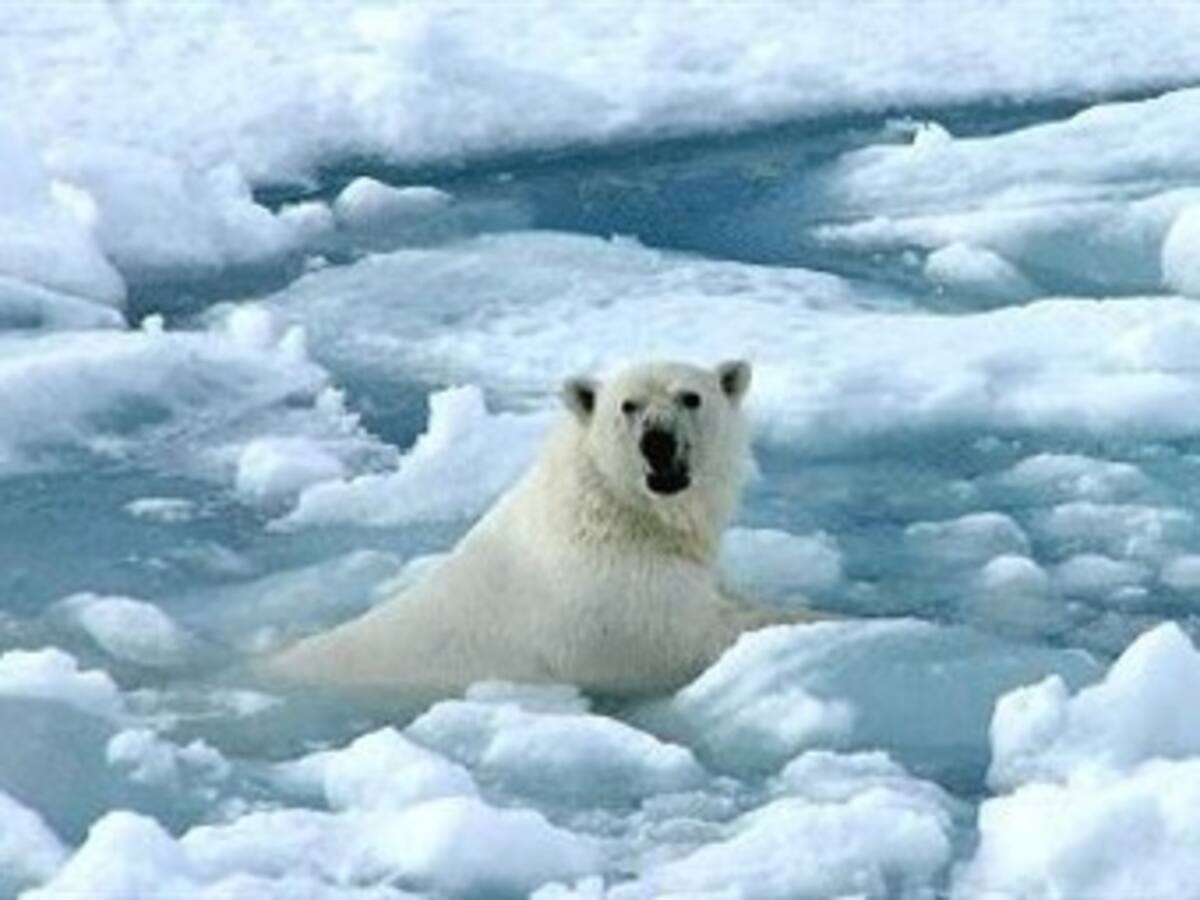 Ministros de 50 países trabajan sobre acuerdos finales previos a la COP16