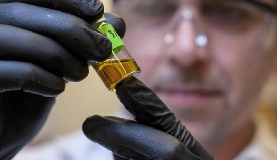 Este evento reúne a la industria del Cannabis nacional e internacional. La feria tiene como objetivo crear oportunidades de negocio