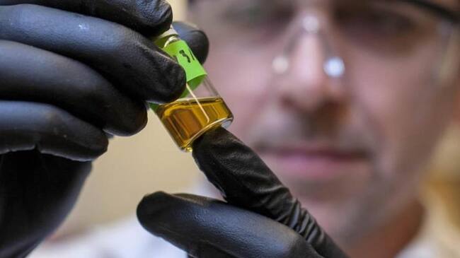 Este evento reúne a la industria del Cannabis nacional e internacional. La feria tiene como objetivo crear oportunidades de negocio