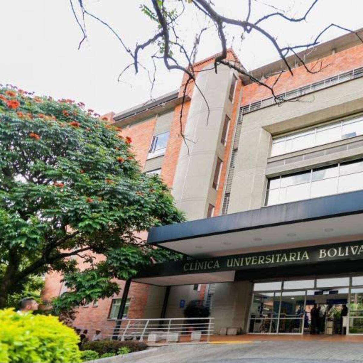 Servicio de Obstetricia de la Clínica Universitaria Bolivariana supera el 200 % de ocupación