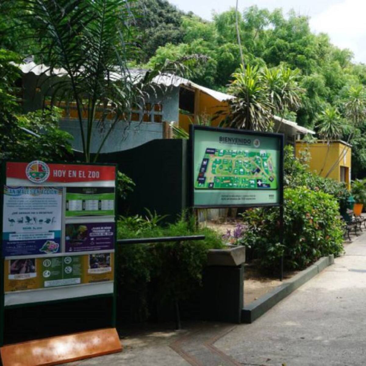 Niños vacunados contra el COVID-19 podrán entrar gratis al Zoológico
