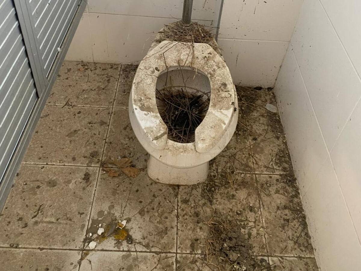 Personería supervisa el mal estado de infraestructura educativa en Santa Marta