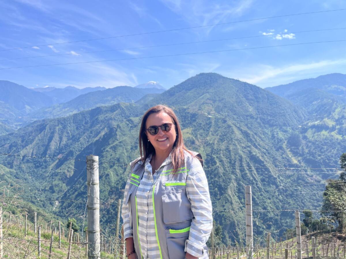 Las lecciones que dejó la erupción del Volcán para la gestión del riesgo y la geología en el país